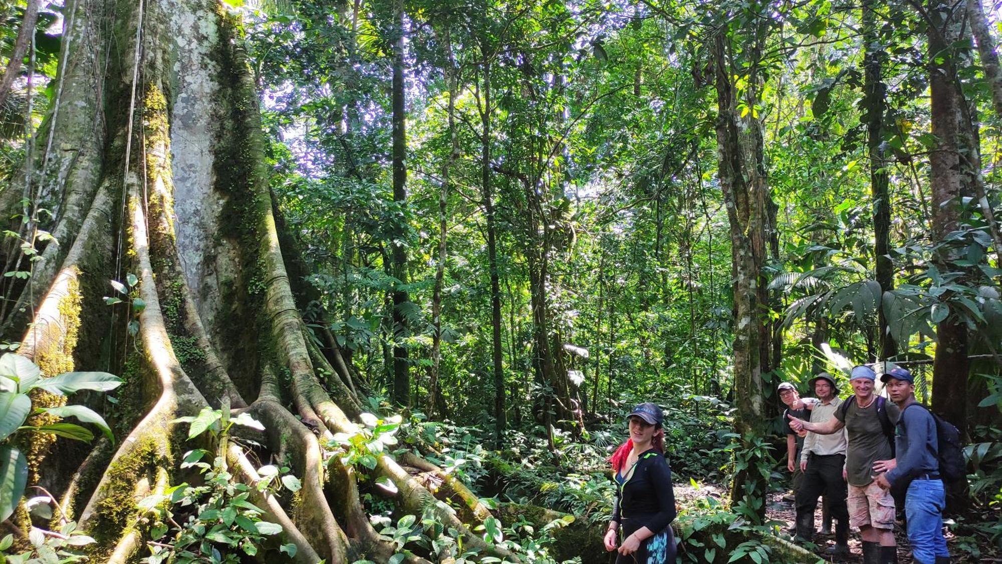 Gaia Amazon Eco Lodge Ahuano 외부 사진