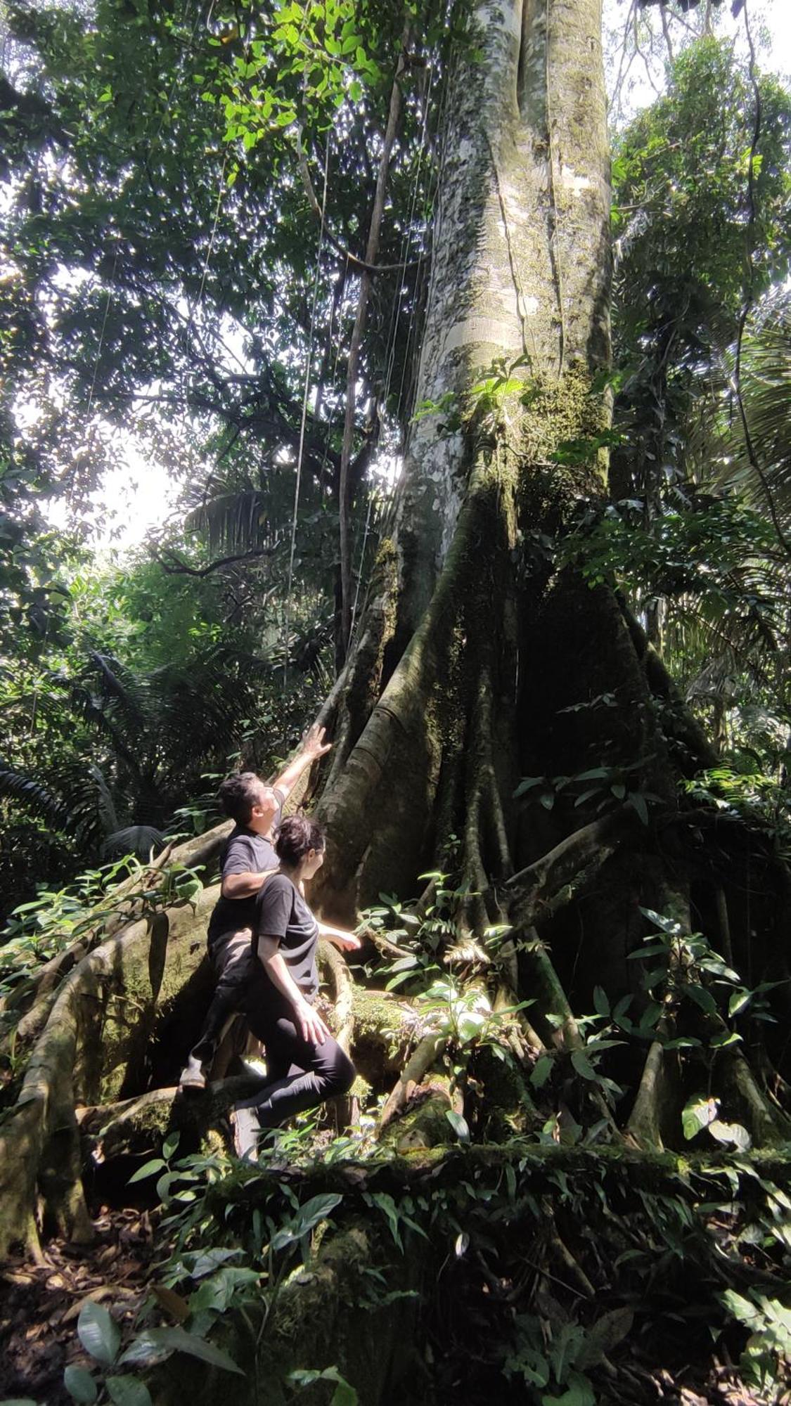 Gaia Amazon Eco Lodge Ahuano 외부 사진