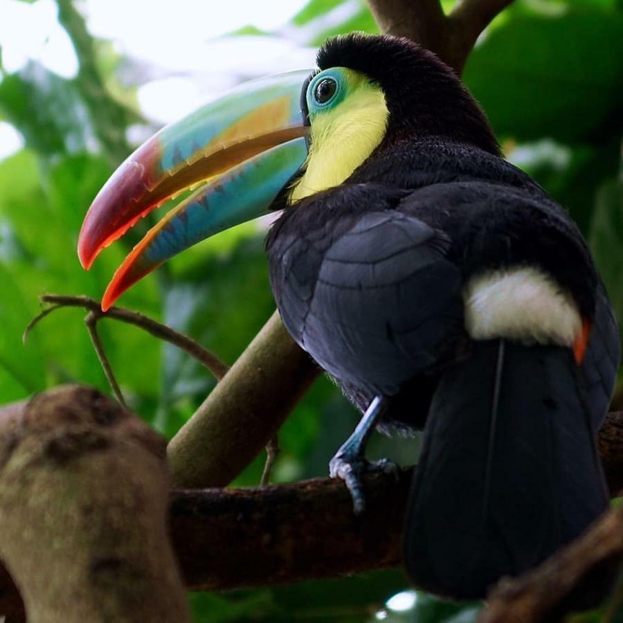 Gaia Amazon Eco Lodge Ahuano 외부 사진