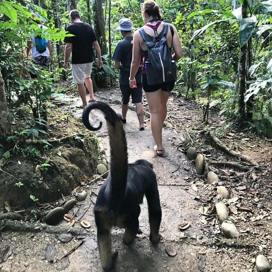 Gaia Amazon Eco Lodge Ahuano 외부 사진